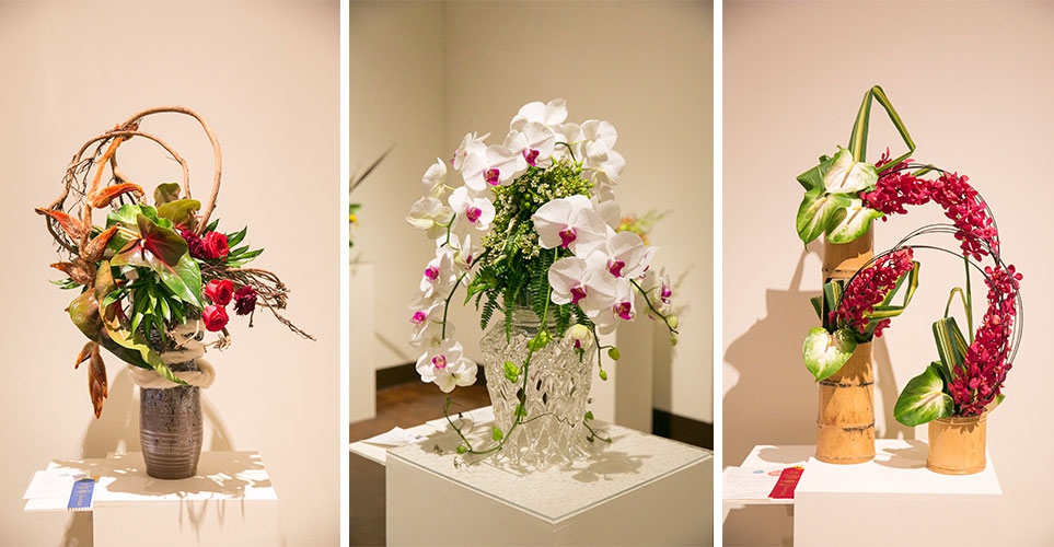 Honolulu Museum Of Art Rooted In Paradise A Garden Club Of